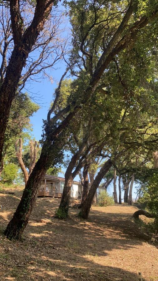 Les Chalets Des Iles Borgo  Exterior photo